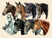 Hunter, Equine Art - English Horses